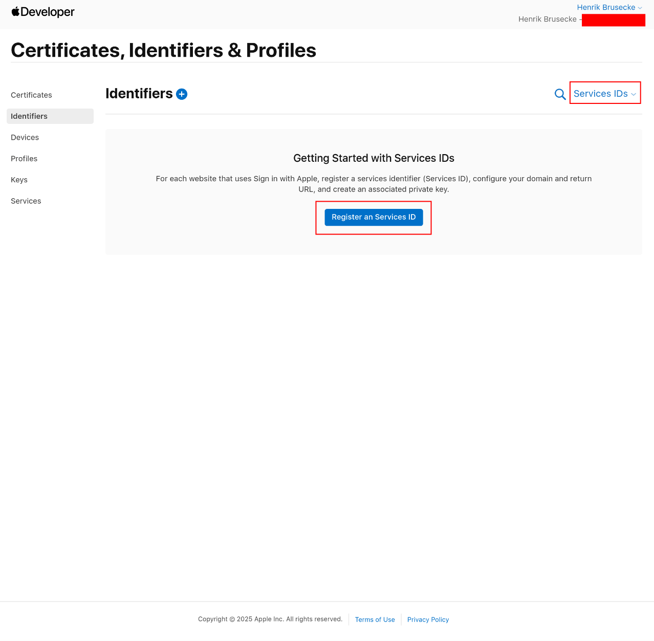 Apple Application 17