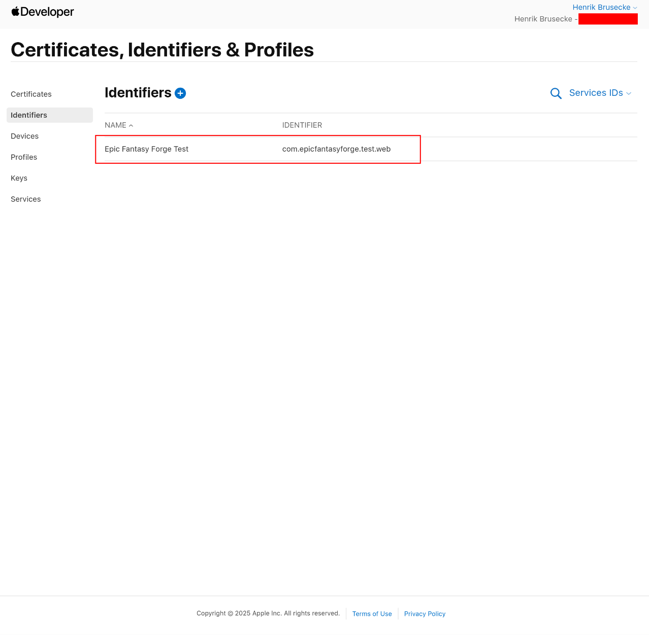Apple Application 21