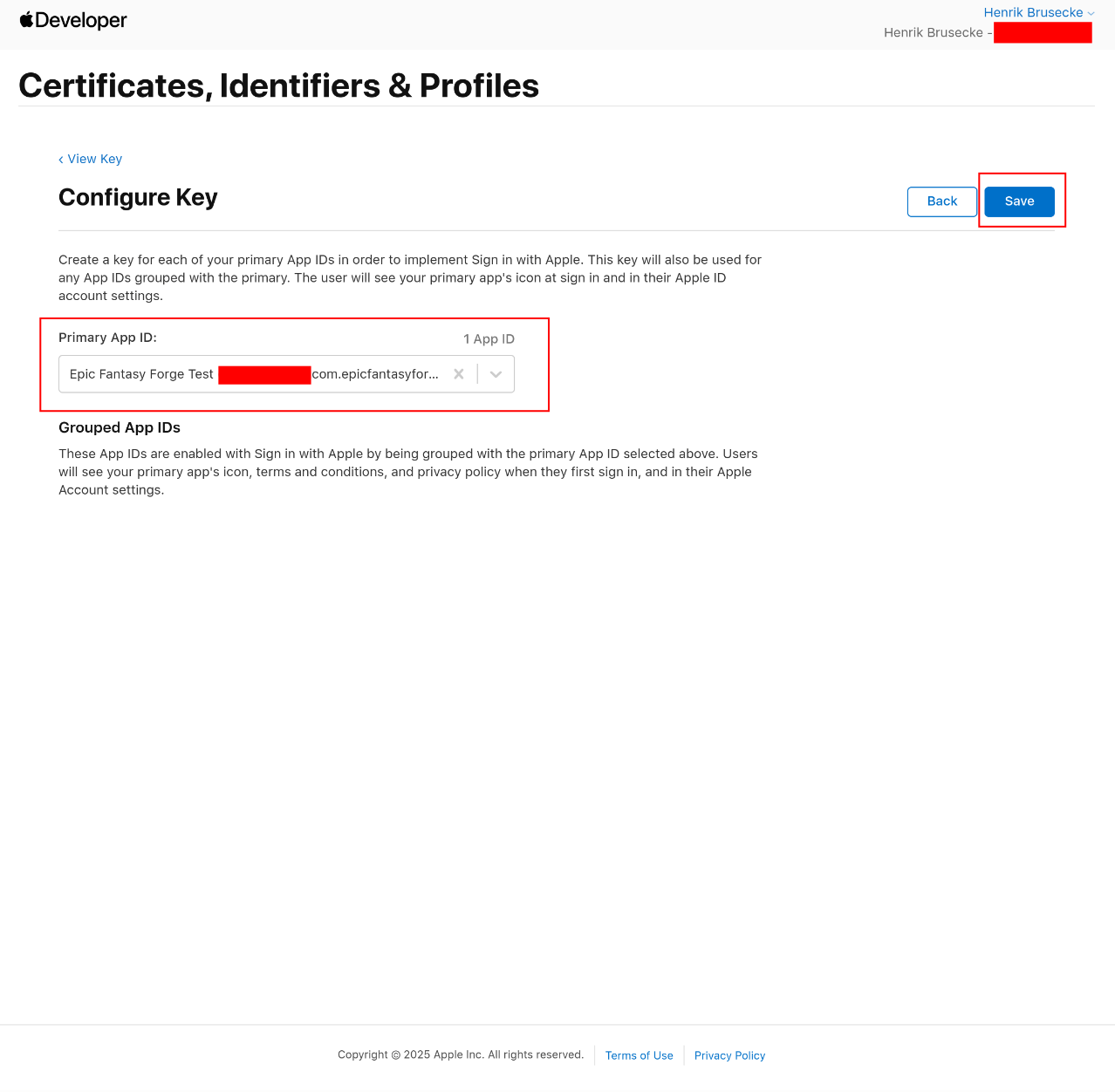 Apple Application 27