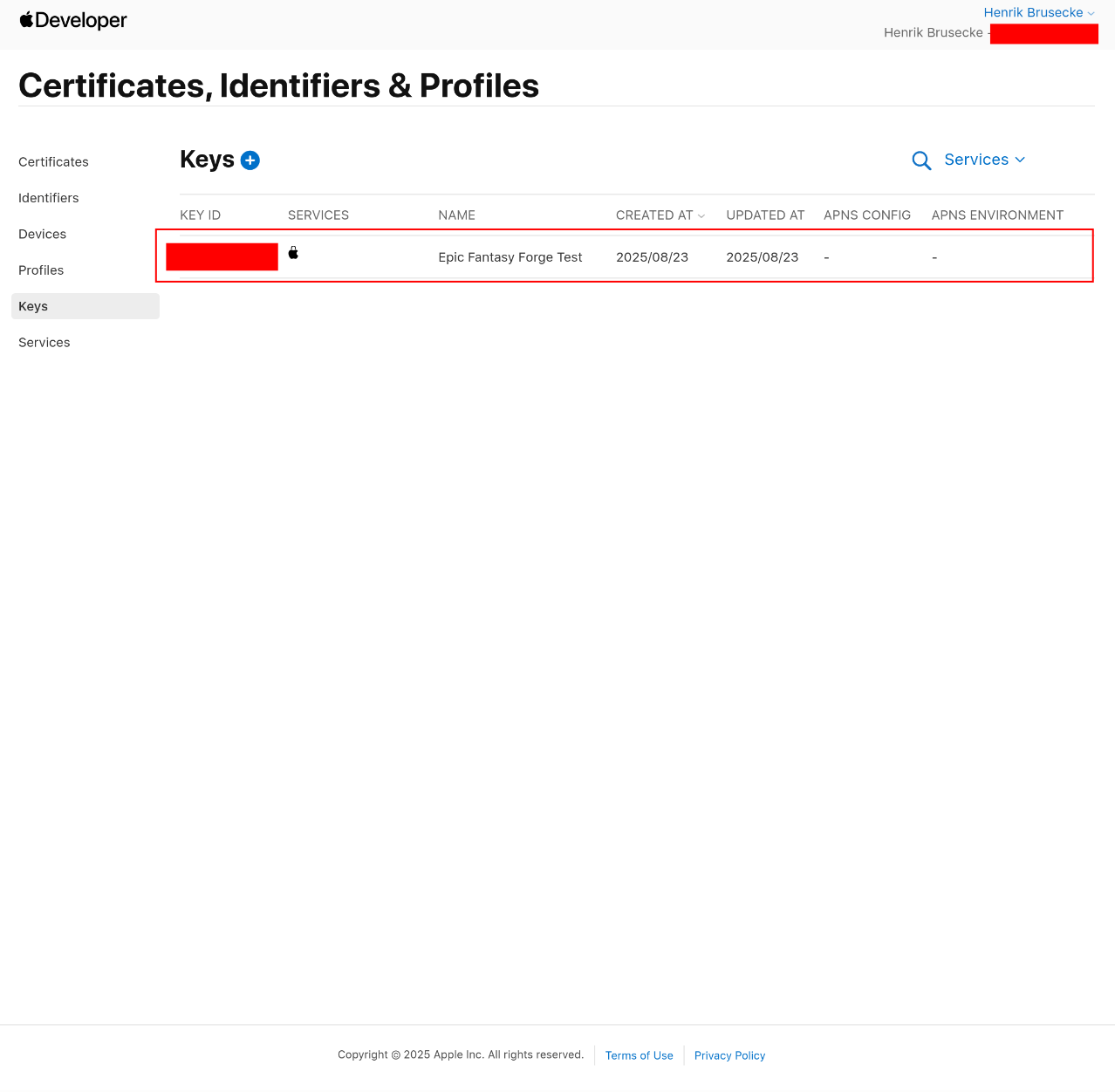 Apple Application 31